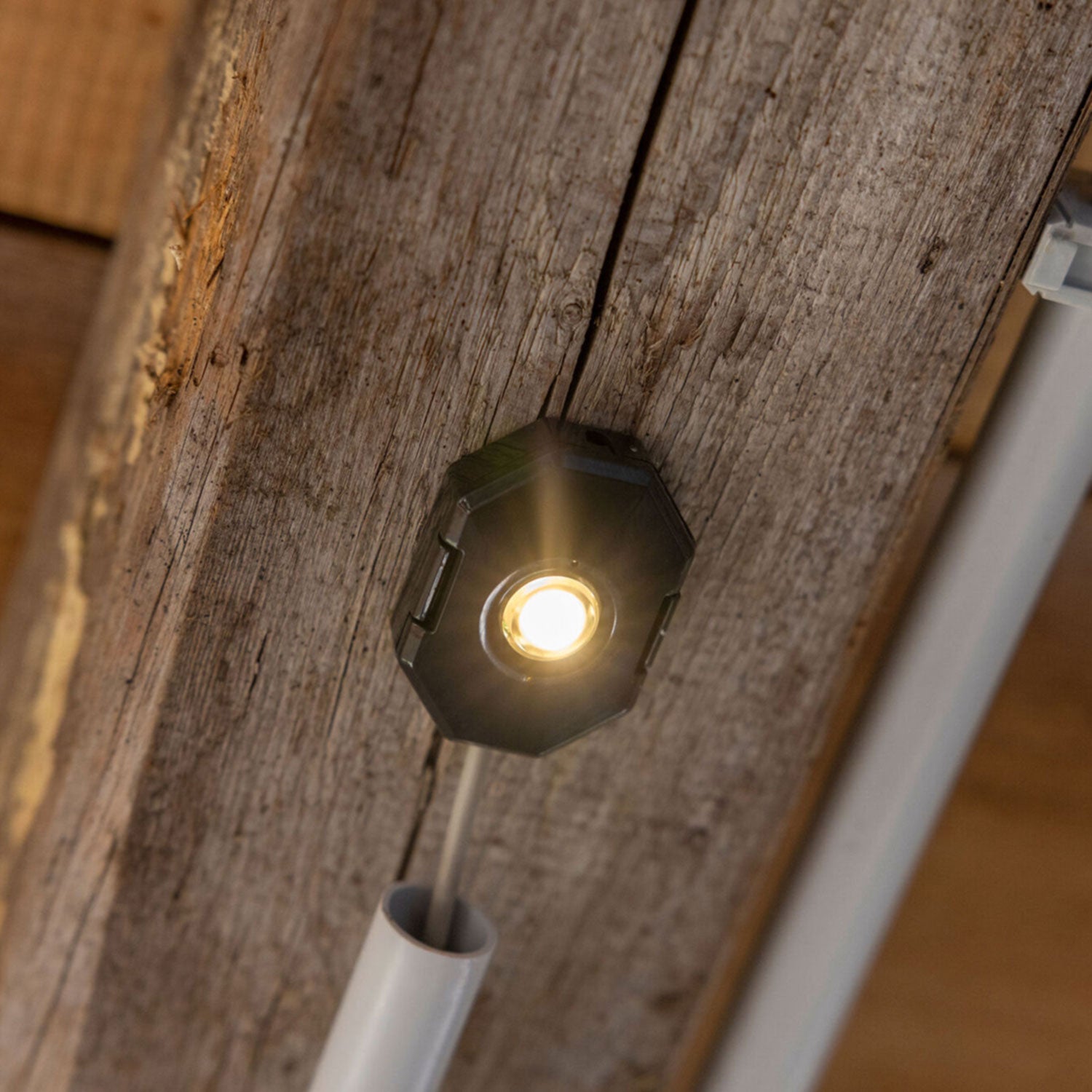 SmartCoop LED-Stallbeleuchtung - 1,5 Watt - individualisierbare Einstellungen