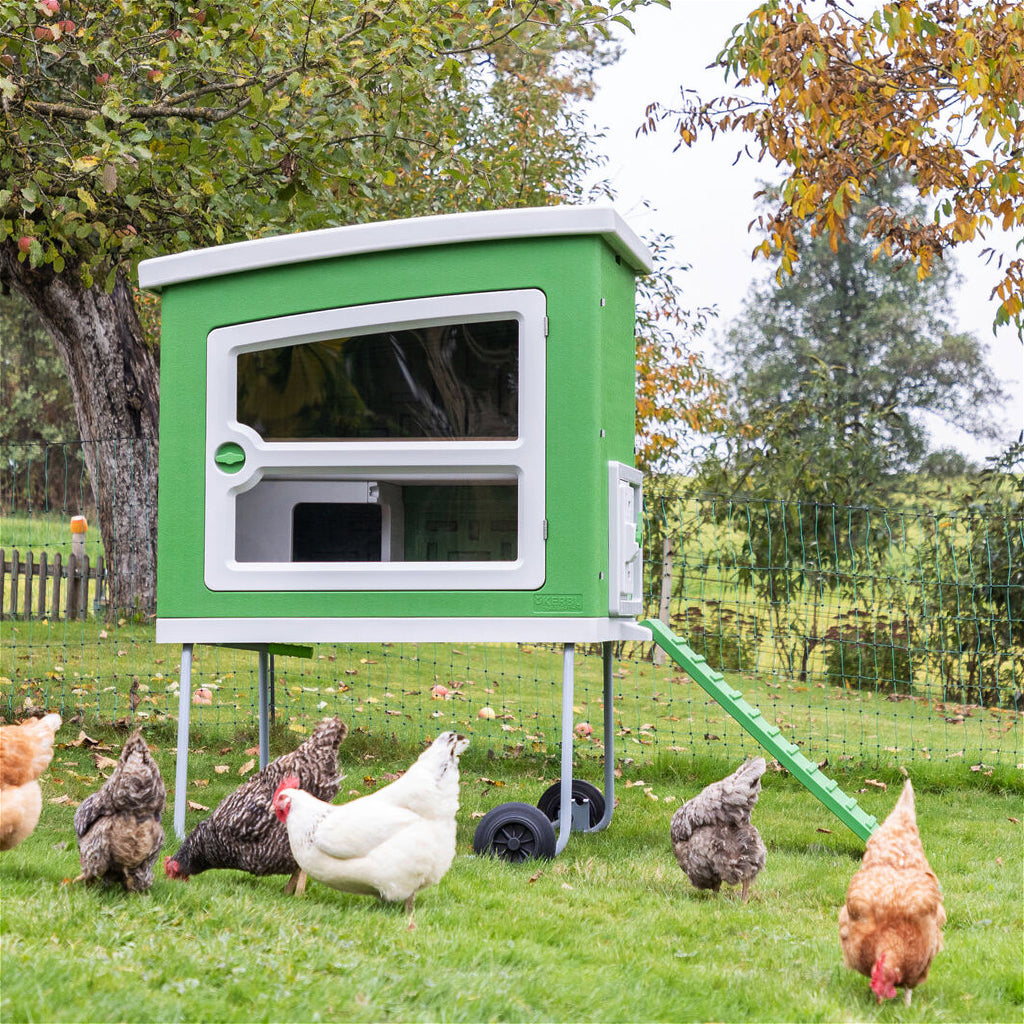 Mobile Coop Hühnerstall aus Kunststoff - mit integriertem Legenest