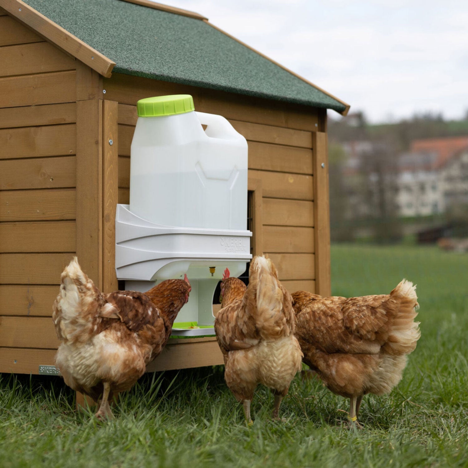 SmartCoop Geflügeltränke mit 10 Liter - SmartCoop kompatibel
