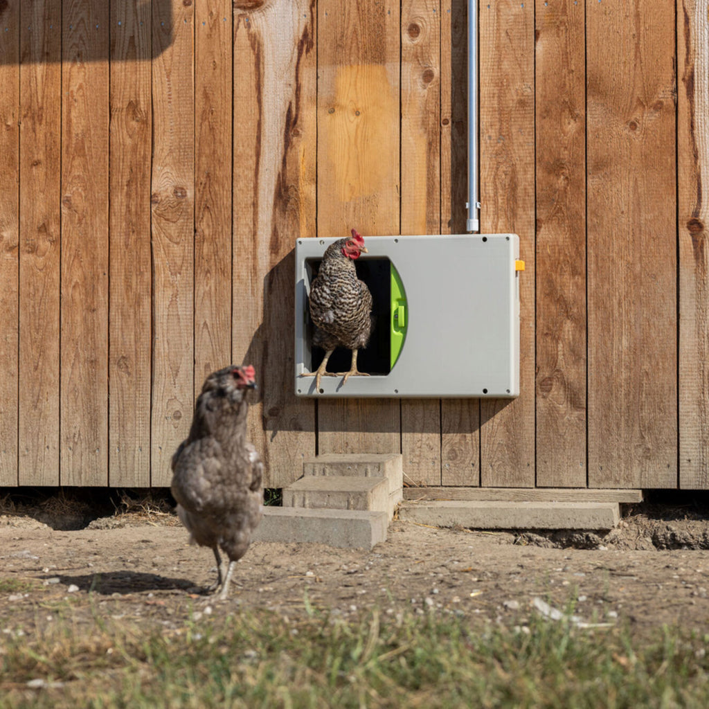 SmartCoop Hühnertür mit Direktantrieb - öffnet und schließt horizontal