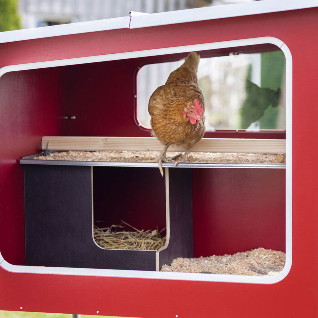 Mobile Coop Hühnerstall aus Holz - mit integriertem Legenest
