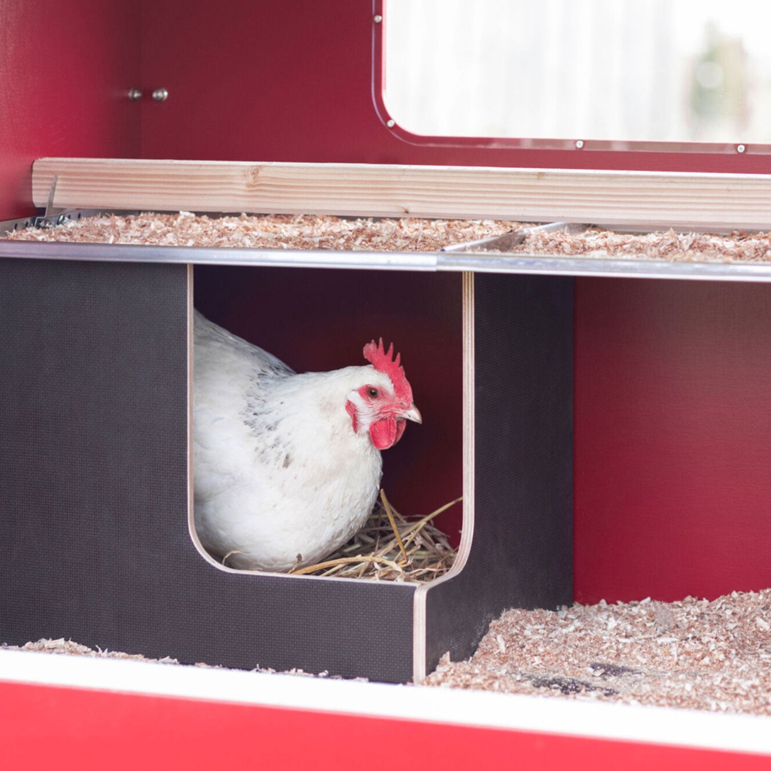Mobile Coop Hühnerstall aus Holz - mit integriertem Legenest