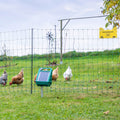 Geflügelnetz-Set 50m inkl. Solargerät und Zubehör