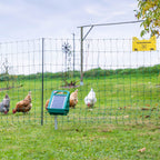 Geflügelnetz-Set 50m inkl. Solargerät und Zubehör