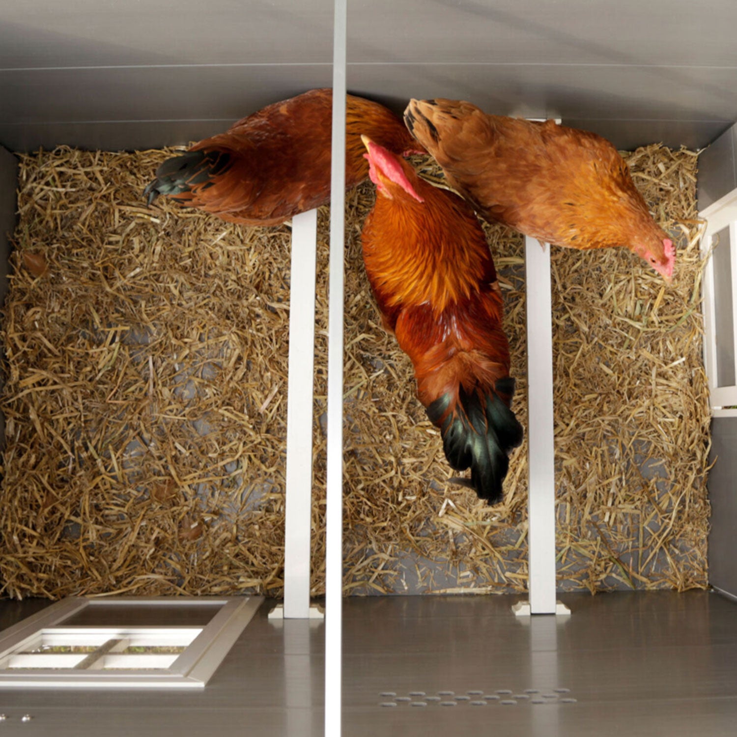 Hühnerstall Barney aus ECO-Kunststoff mit aufklappbarem Dach